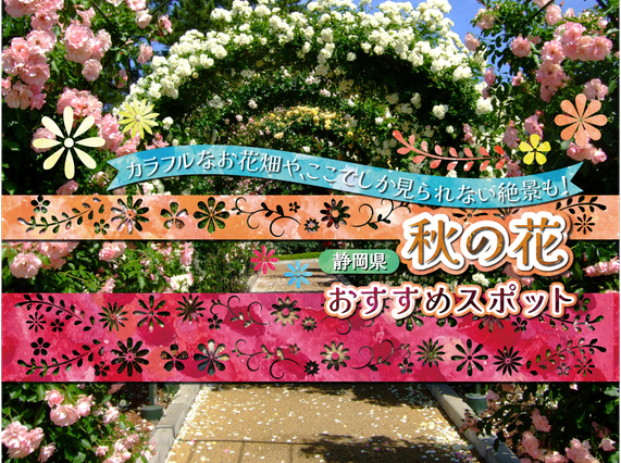 秋に見頃を迎える静岡県花の名所12選