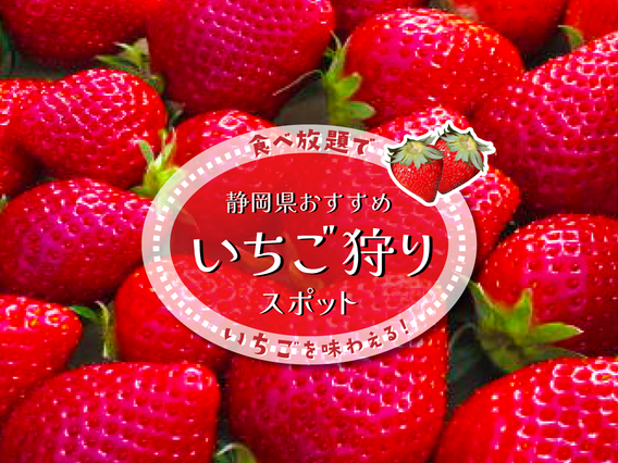 食べ放題！静岡県のおすすめいちご狩りスポット15選【2026年版】