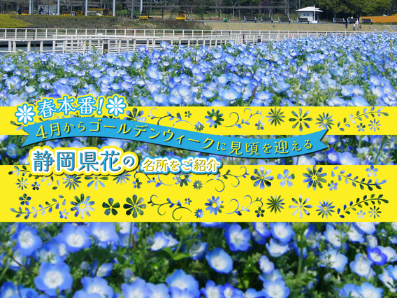 春に見頃を迎える静岡県花の名所12選