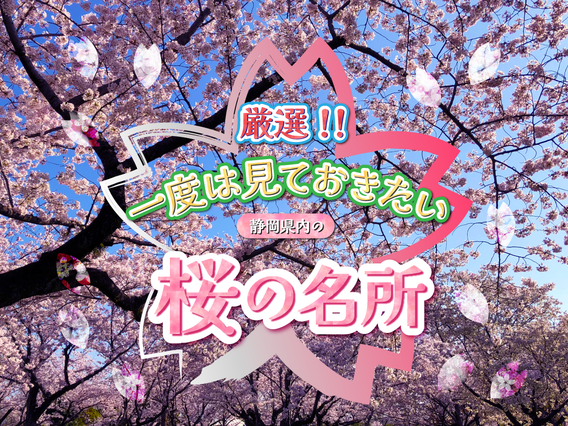 静岡県の桜の名所9選♪見頃の時期をご紹介します