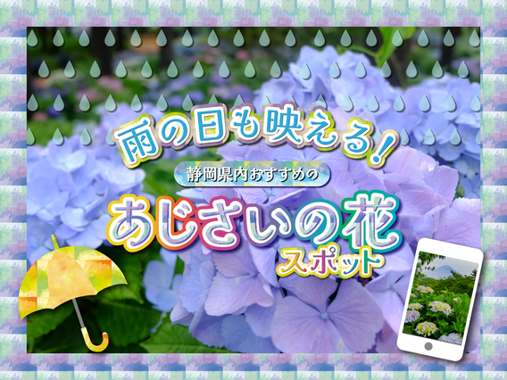 静岡県の紫陽花（あじさい）名所10選！見頃やお祭りまでご紹介します
