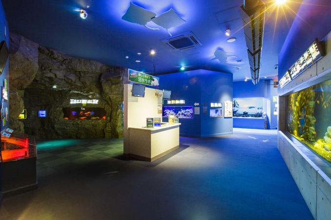 沼津港深海水族館