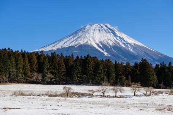 パーク内風景