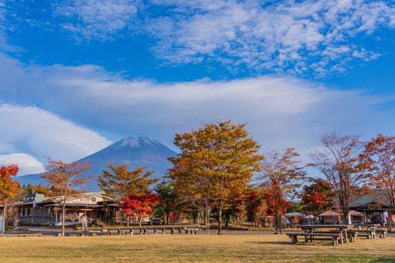パーク内風景