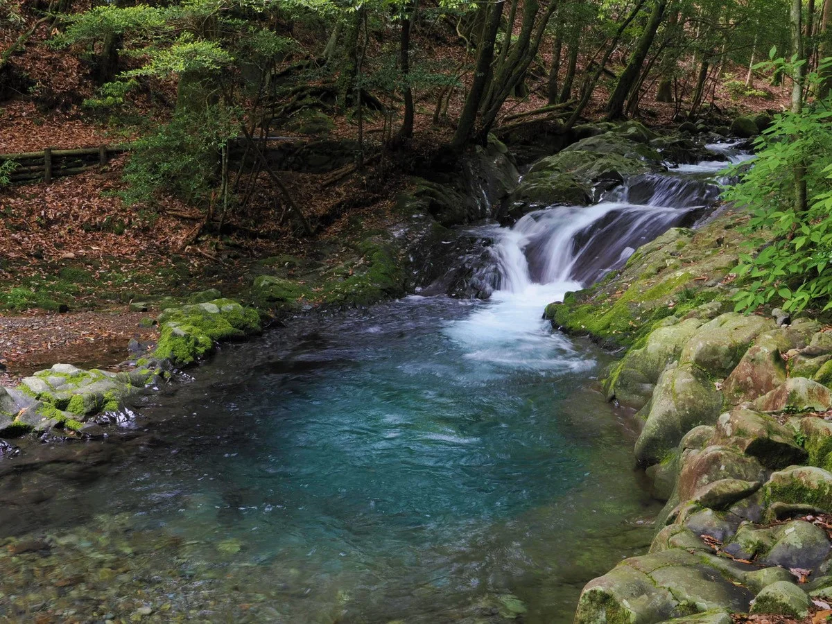 滑沢渓谷 | スポット・体験 | 【公式】静岡県観光ガイド Hello Navi