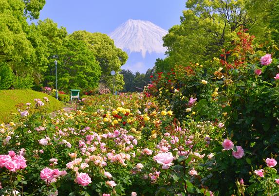 公園の景観