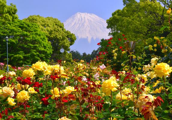 公園の景観