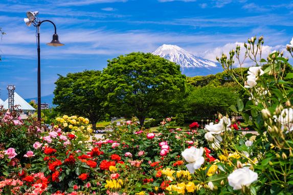 富士市中央公園