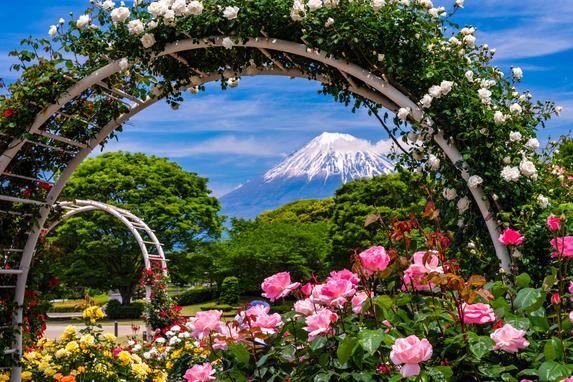 富士市中央公園