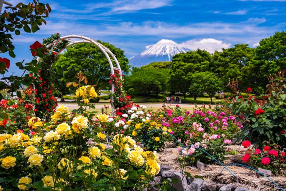 富士市中央公園