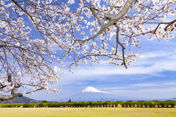 かりがね堤の様子