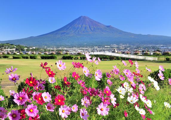 かりがね堤の様子