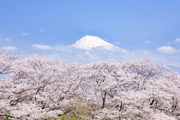 かりがね堤の様子