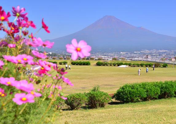 かりがね堤の様子