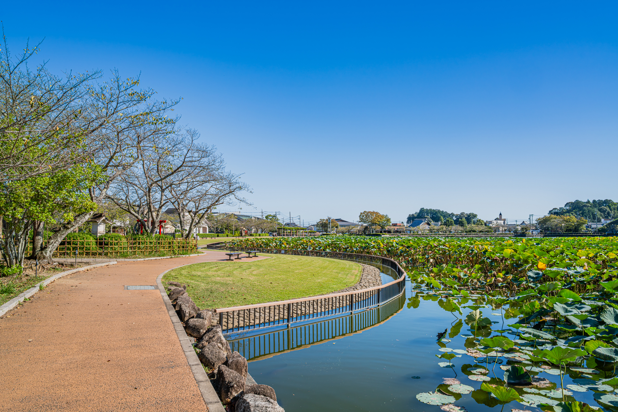 蓮華寺池公園 | スポット・体験 | 【公式】静岡県観光ガイド Hello Navi