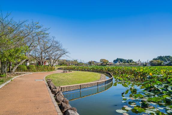 蓮華寺池公園 | スポット・体験 | 【公式】静岡県観光ガイド Hello Navi