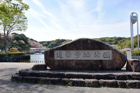 蓮華寺池公園 | スポット・体験 | 【公式】静岡県観光ガイド Hello Navi