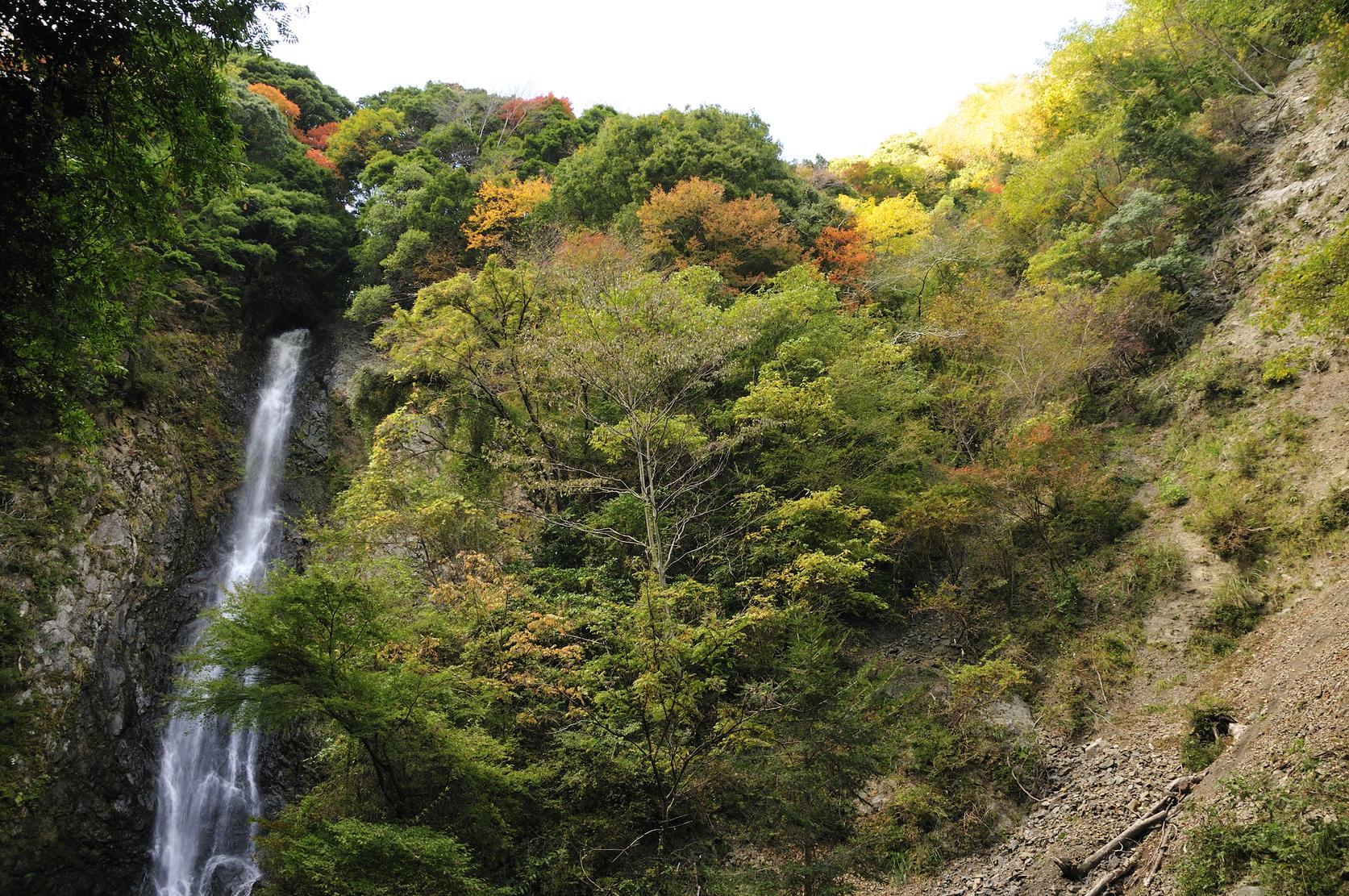滝 宇嶺の滝 | スポット・体験 | 【公式】静岡県観光ガイド Hello Navi