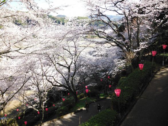 金比羅山緑地