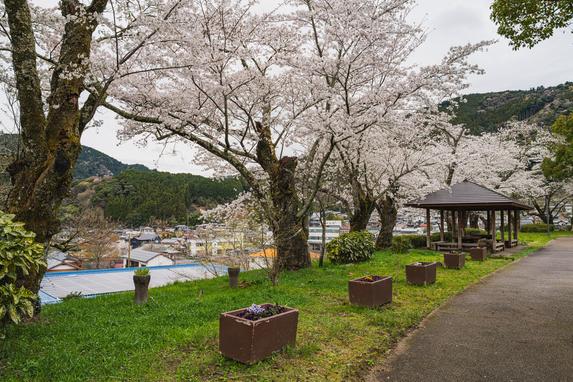 イルミ ぽてコロ 21点 専用ページ 天王山公園 | スポット・体験 | 【公式】静岡県観光ガイド Hello Navi