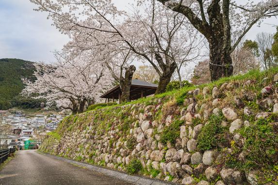 天王山公園