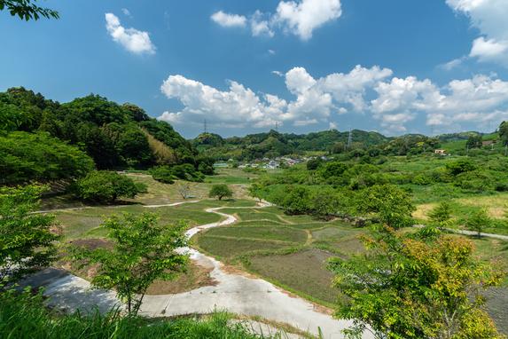 千框棚田 | スポット・体験 | 【公式】静岡県観光ガイド Hello Navi