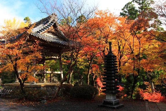 大洞院の秋