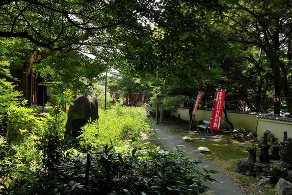 蓮華寺