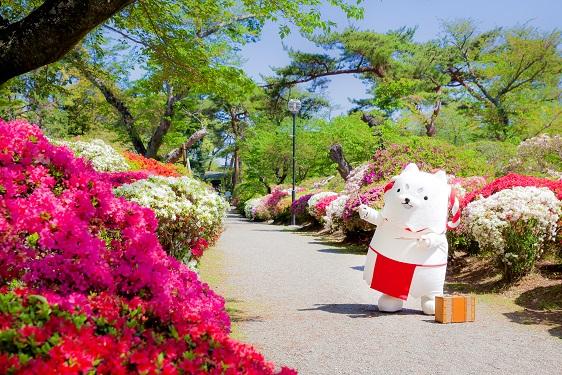 つつじ公園