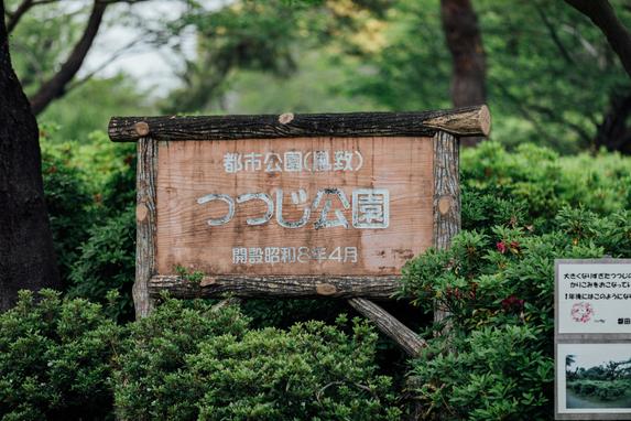 つつじ公園
