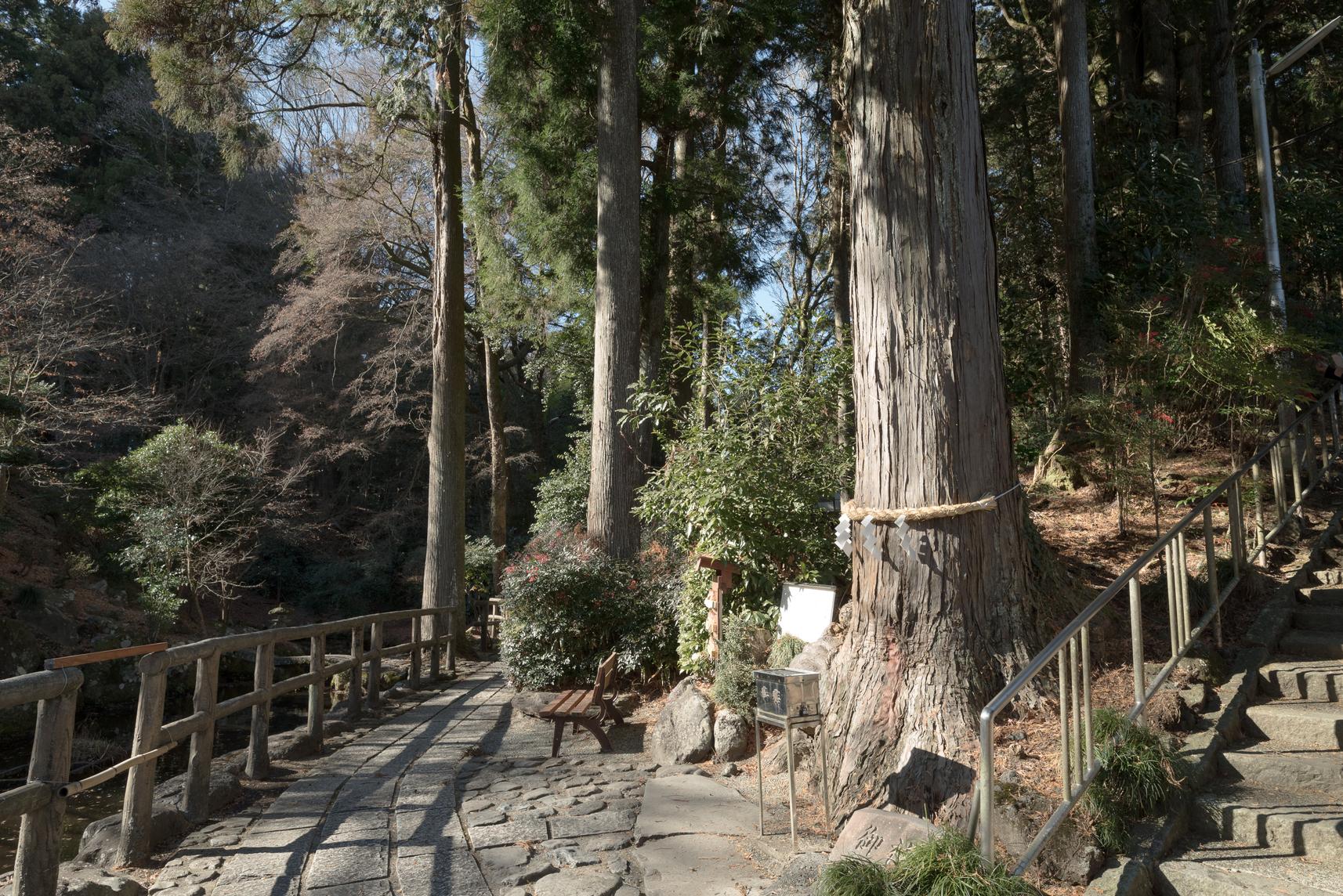 神場山神社 | スポット・体験 | 【公式】静岡県観光ガイド Hello Navi