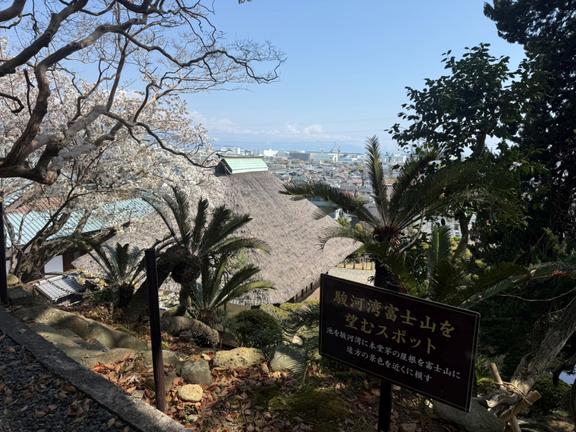 駿河湾富士山を望むスポット