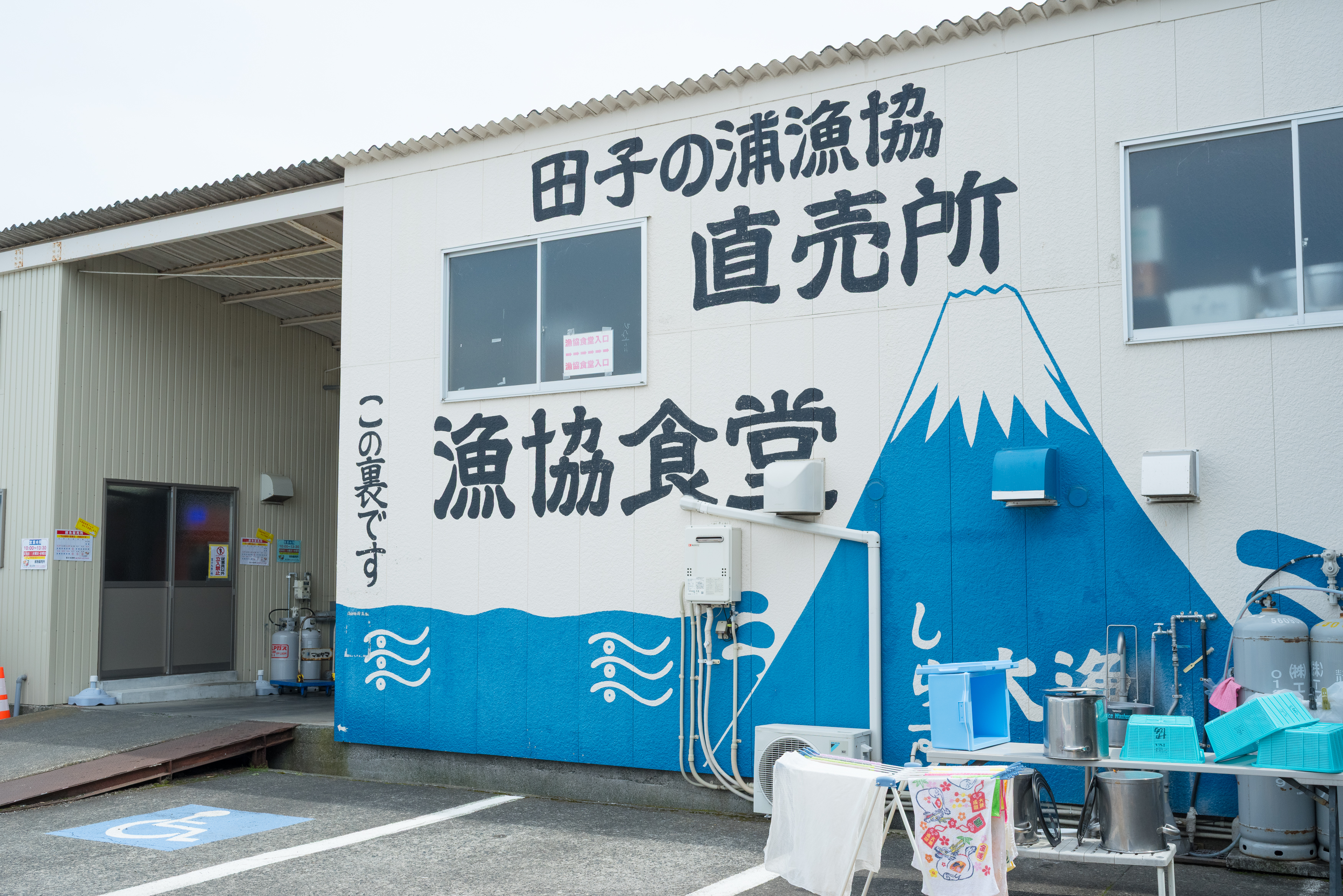 田子の浦港 漁協食堂 | スポット・体験 | 【公式】静岡県観光ガイド