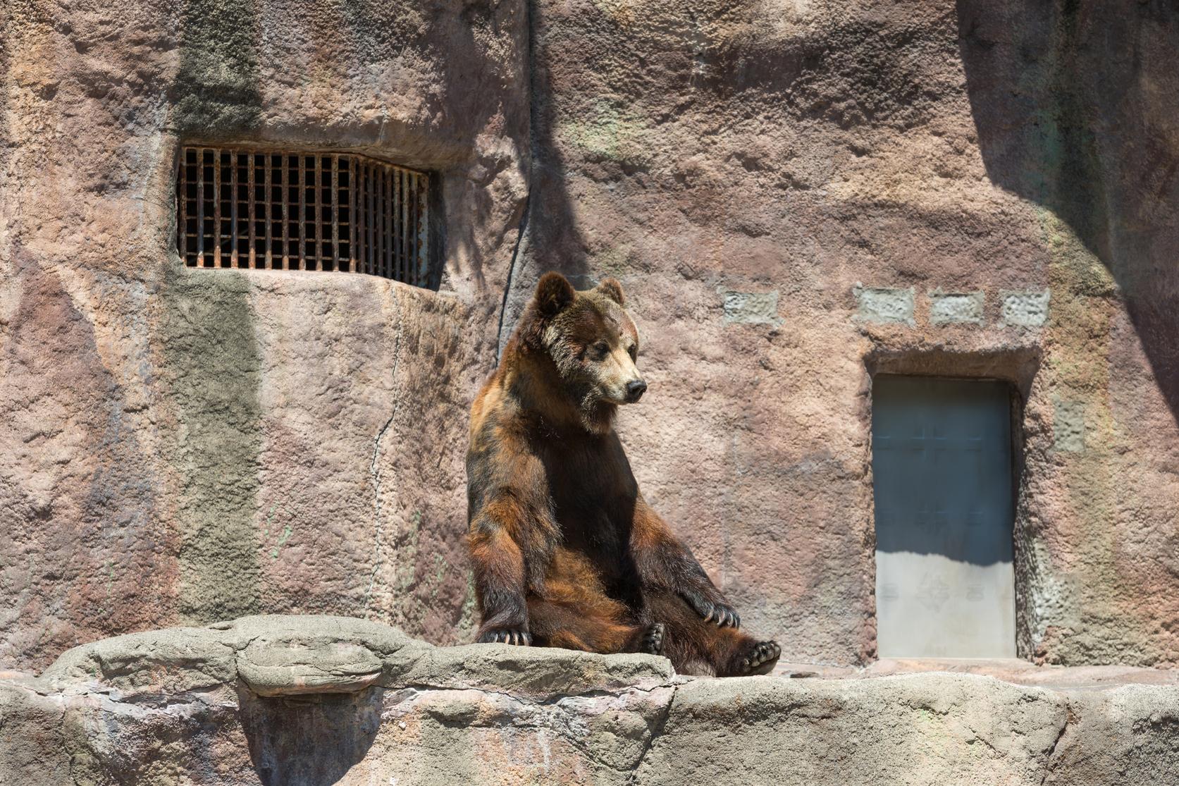 【動物園】 aRZlg8h1JCqNsErxbAH58gJvceI0rT