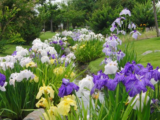 県営吉田公園