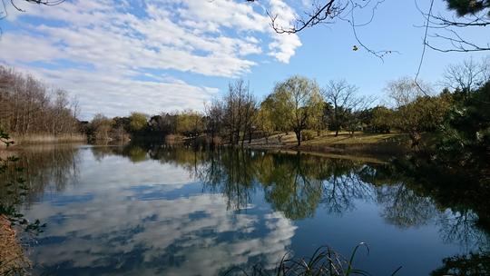 県営吉田公園