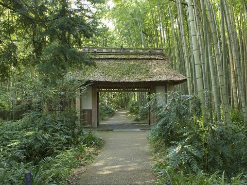 入口は隣接する「とらや工房」と共有の茅葺山門
