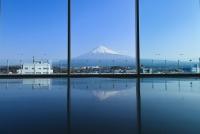 写真提供-静岡県観光協会