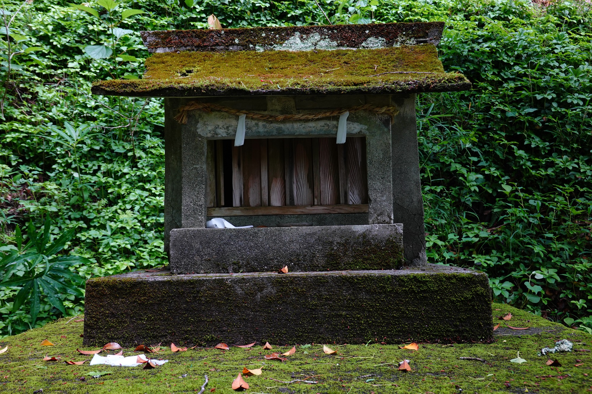 金時神社 | スポット・体験 | 【公式】静岡県観光ガイド Hello Navi