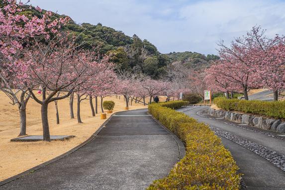 あらさわふる里公園