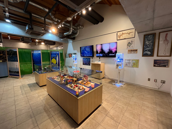 展示コーナー