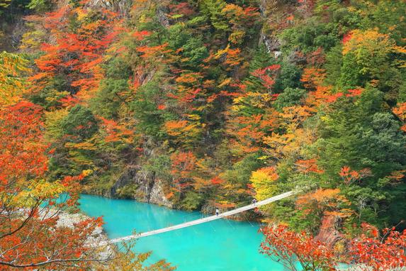 夢のつり橋