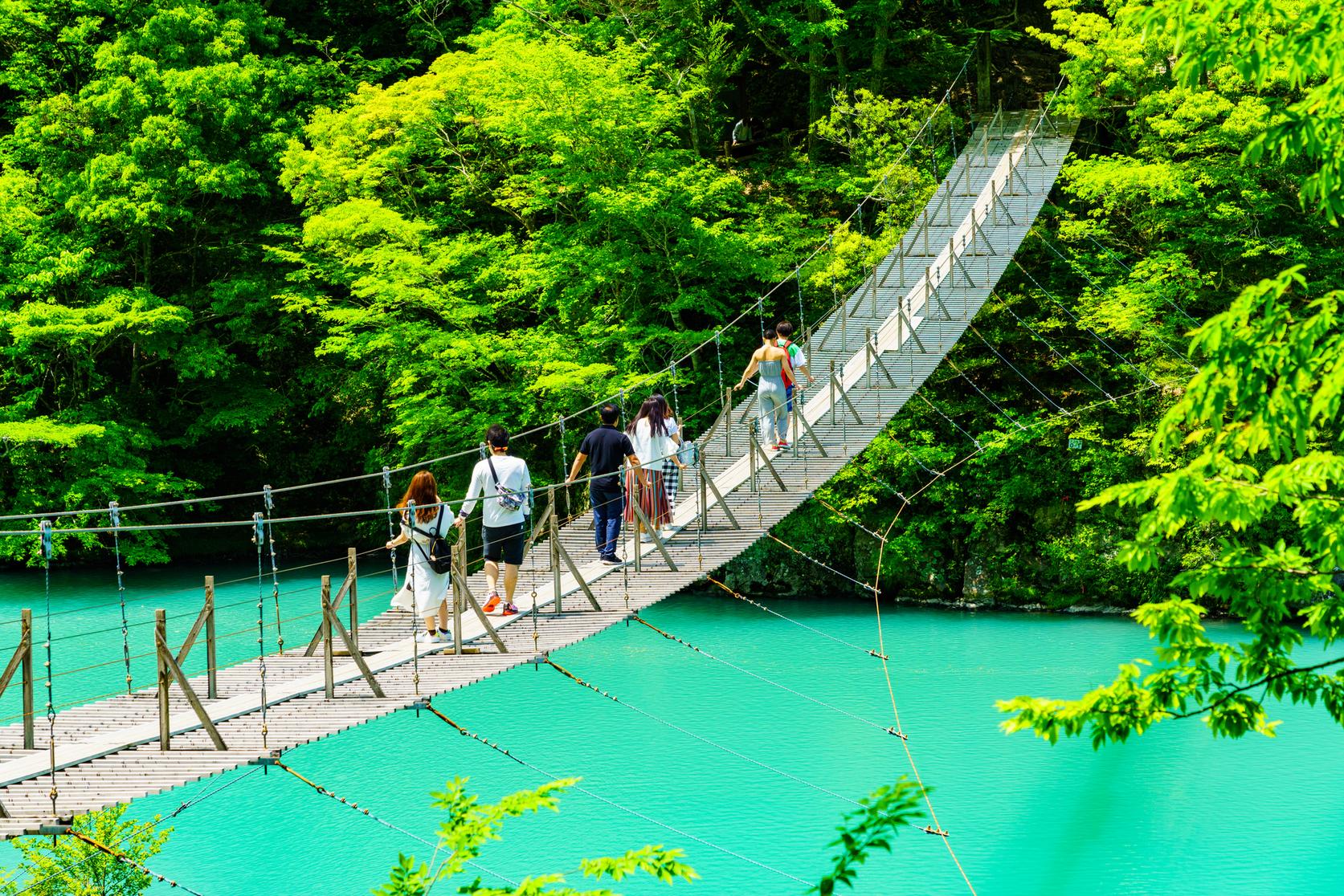 夢 の 吊り橋 静岡