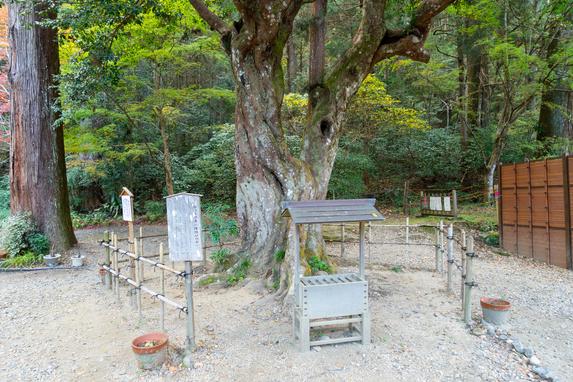 小國神社