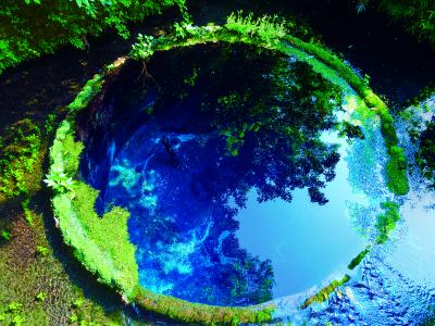 柿田川公園のブルーホール