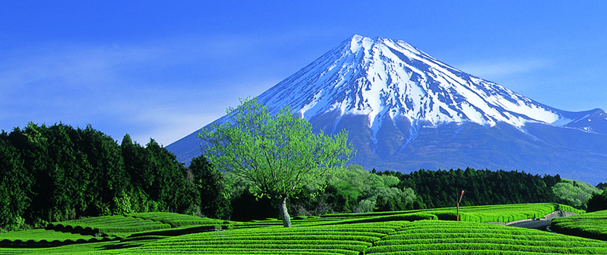 世界遺産「富士山」の構成資産を巡る。＜一泊二日コース・車 ...