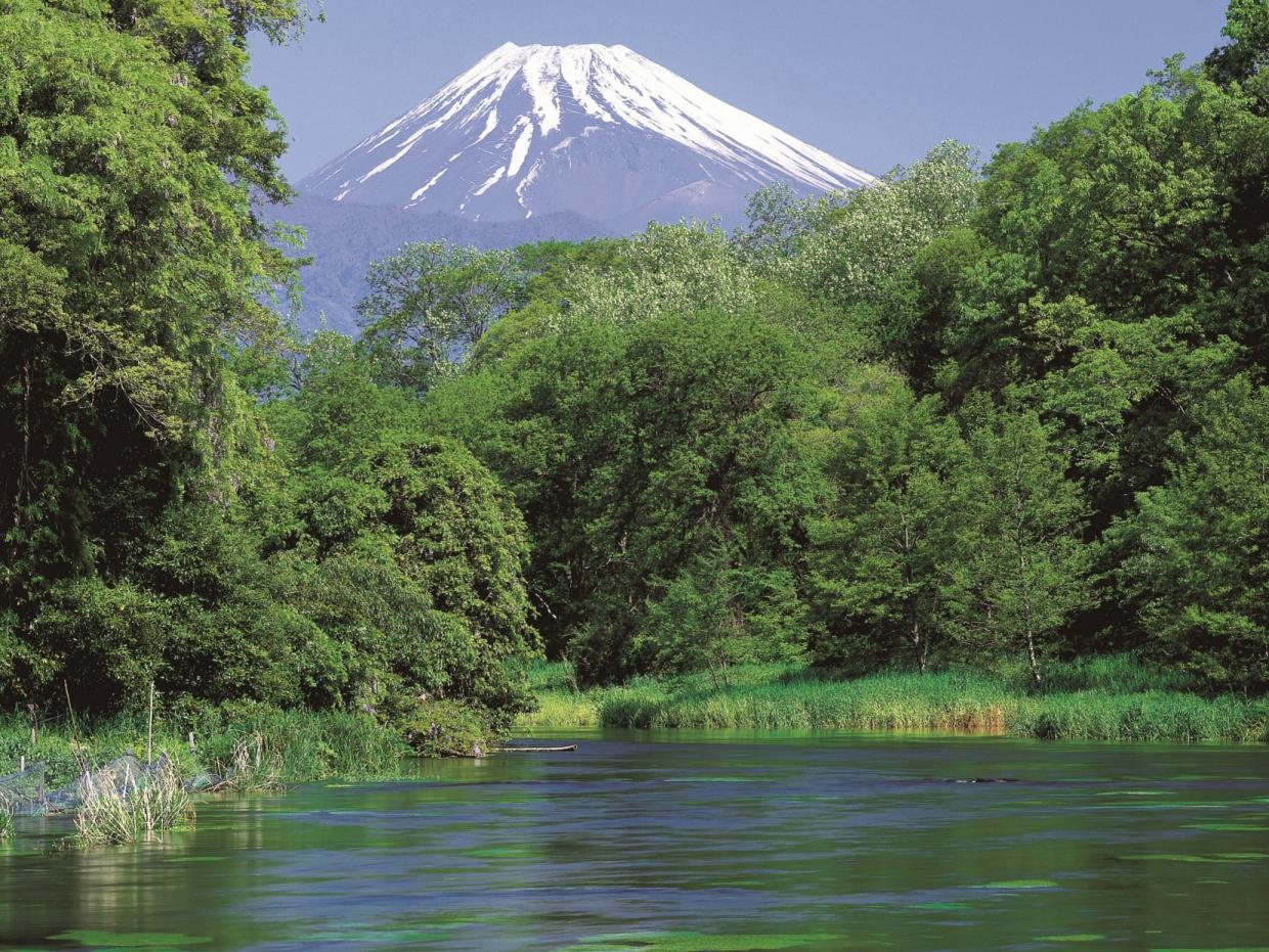 柿田川と富士山